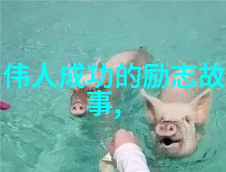马云写给阿里新员工成功分五个步骤