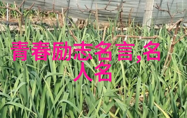 班固名人名言